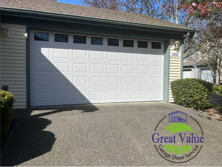 Professional Garage Door